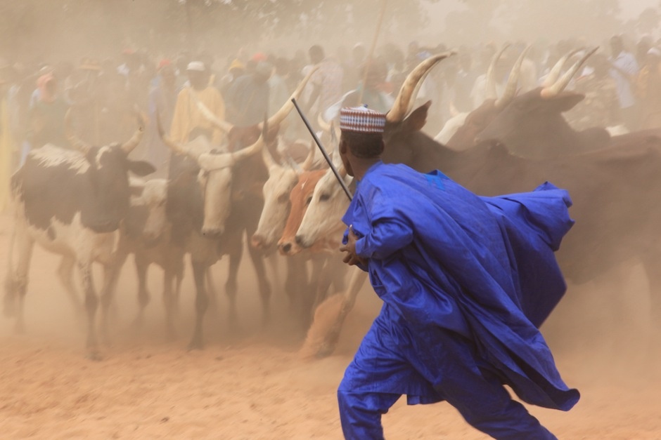Niger - Photo credit : Guillaume Ajavon